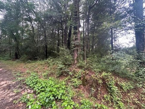 5.33 Acre Vacant Land