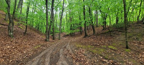Pentwater Land Near Lake Michigan