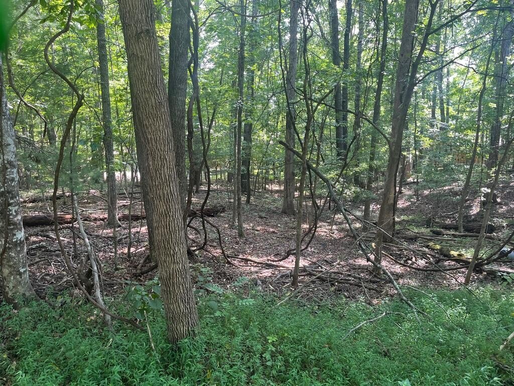Picture 3
