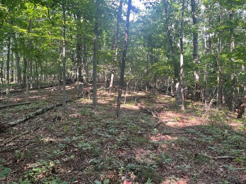 Land, Crossville, TN