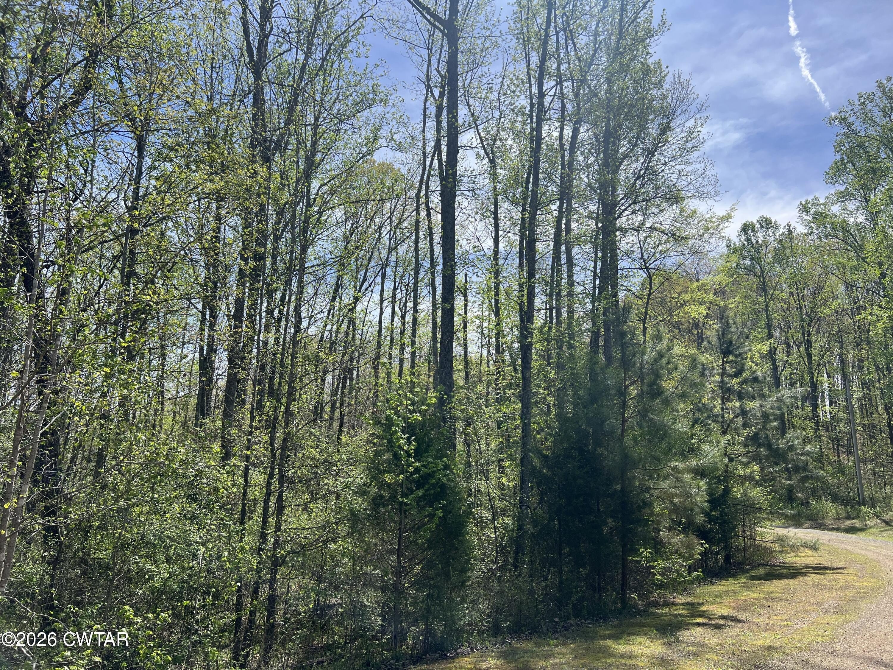 Residential Land in Cedar Grove