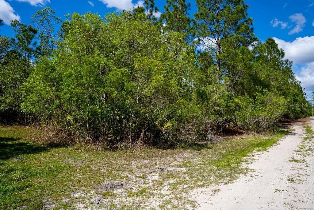 Picture 4