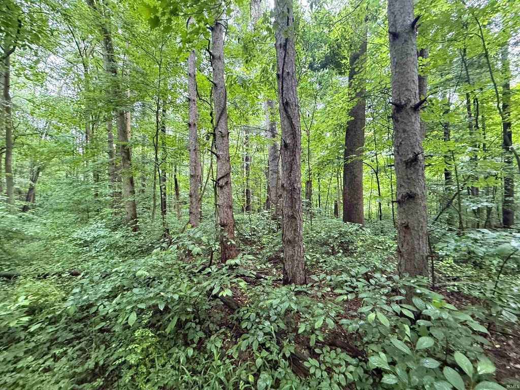 Picture 15