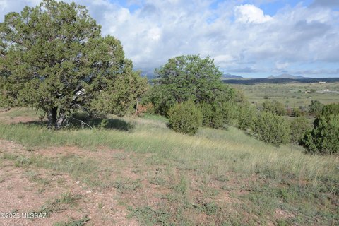 Sonoita Land with Acreage