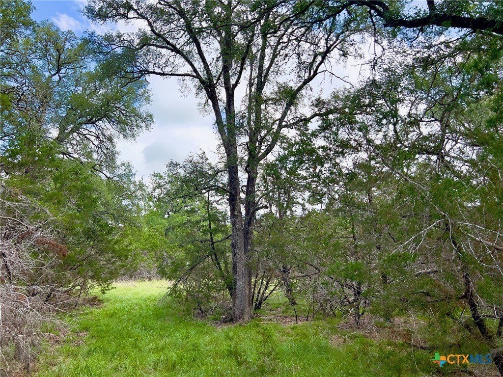 Unrestricted Acreage in Blanco County
