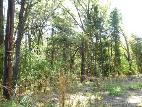 Murchison, TX Land for Sale