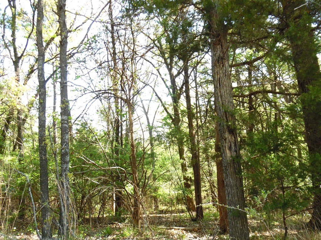 Picture 16