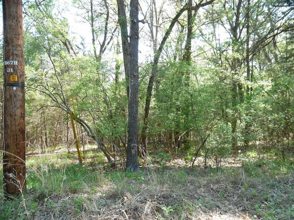 Picture 13