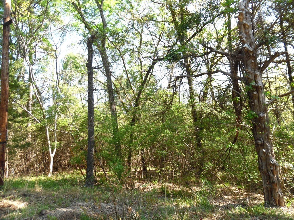 Picture 14