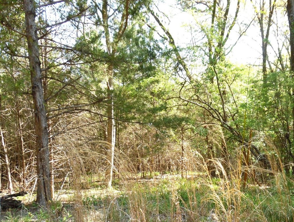 Picture 8