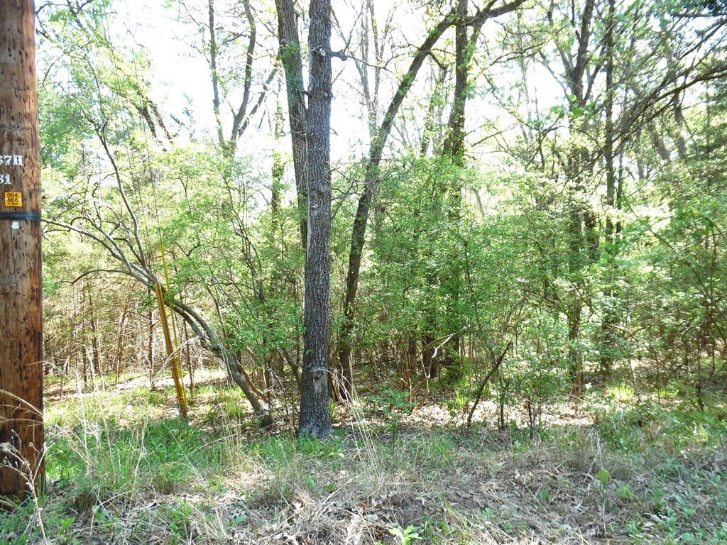 Picture 12