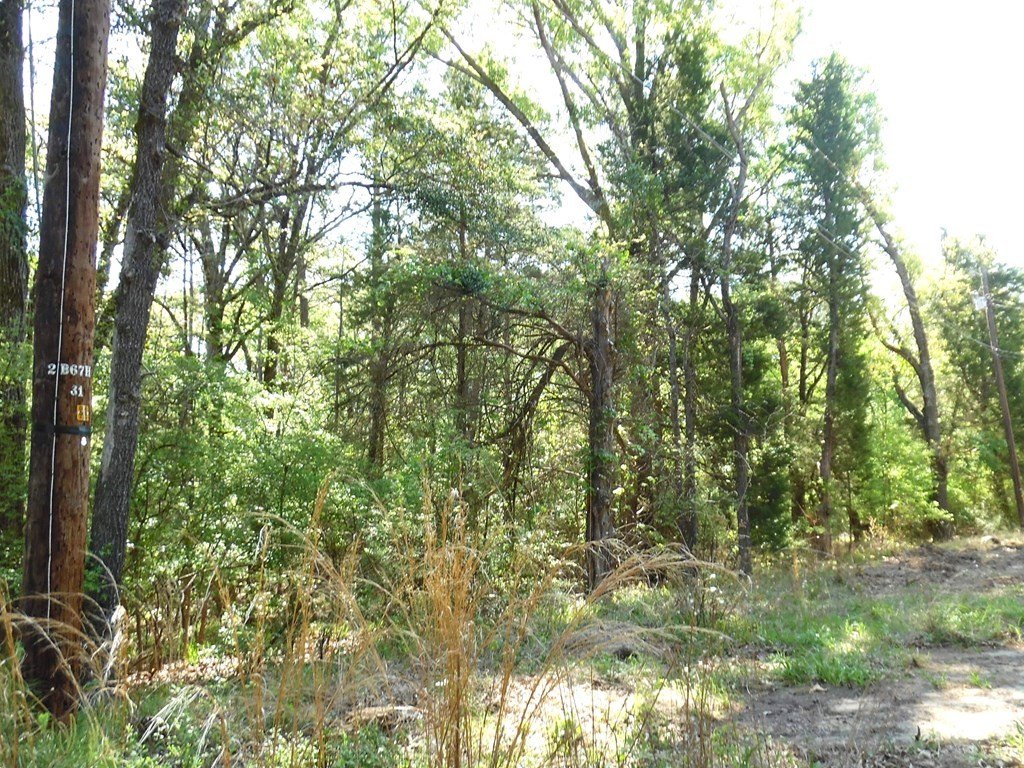 Picture 7