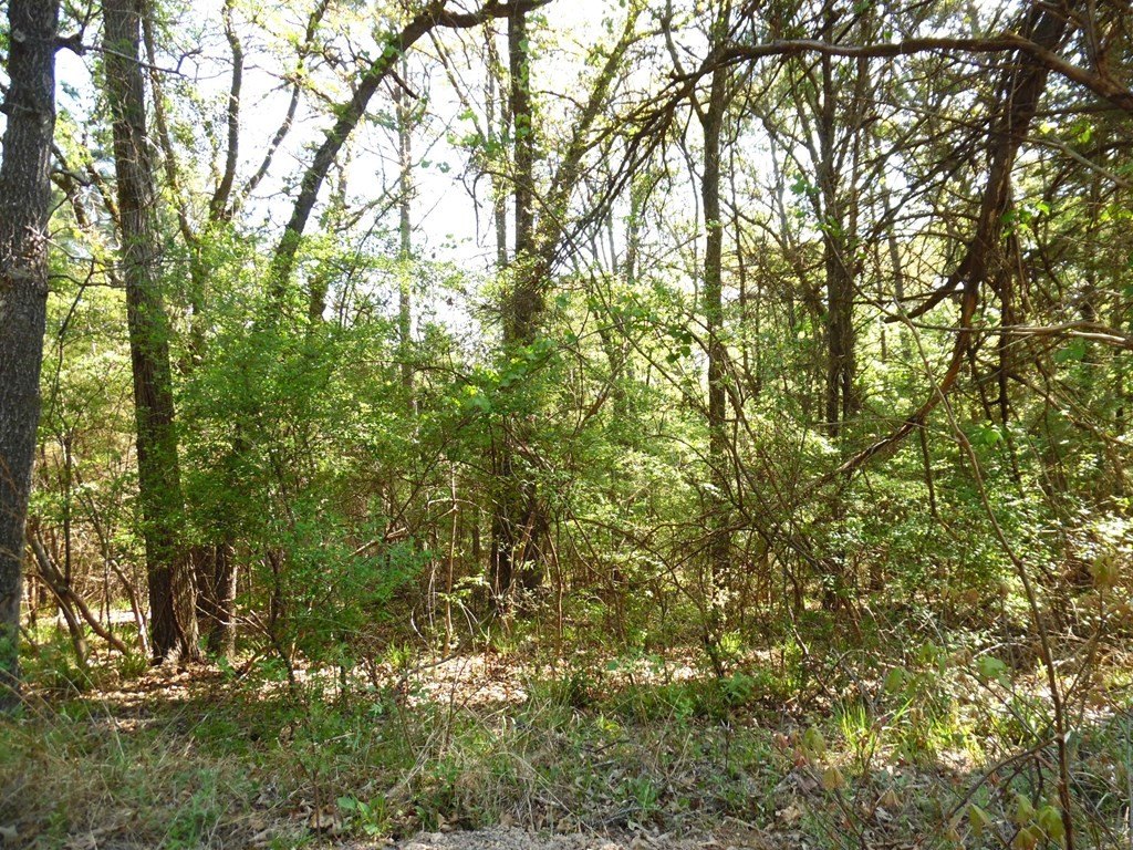 Picture 6