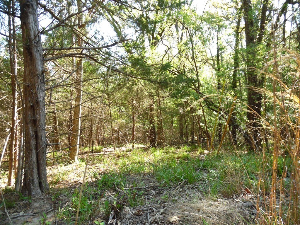 Picture 11
