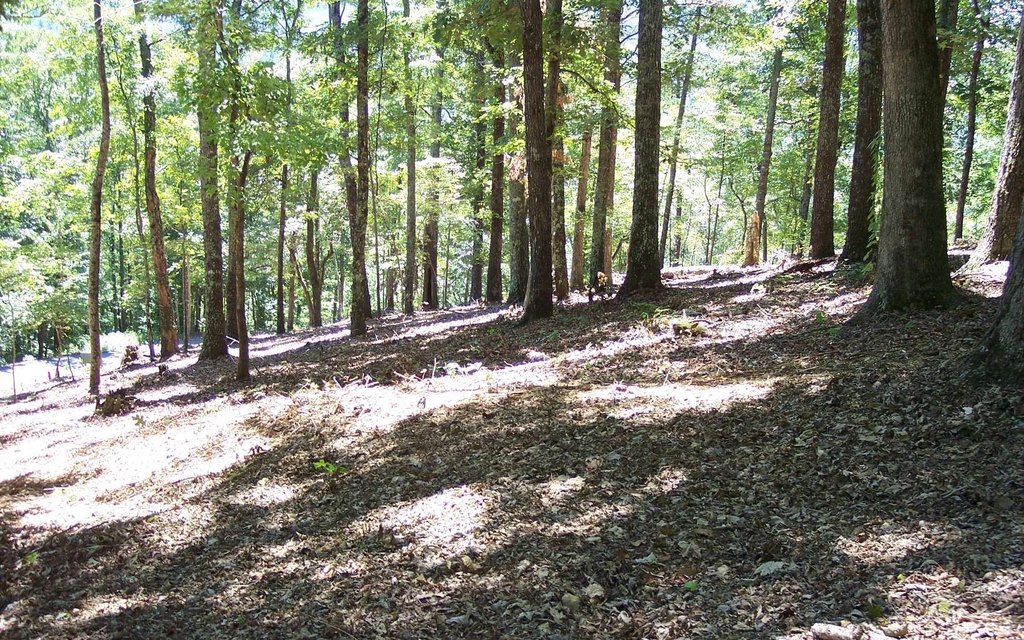 Picture 4