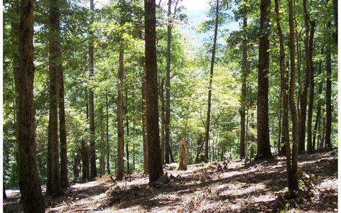 Hayesville, NC Vacant Lot
