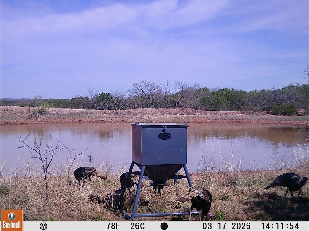 Picture 38