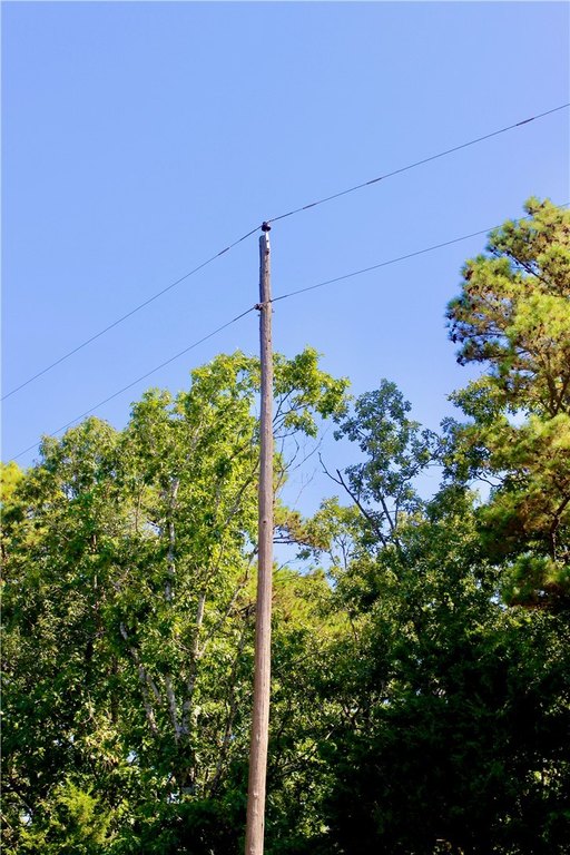 Picture 8