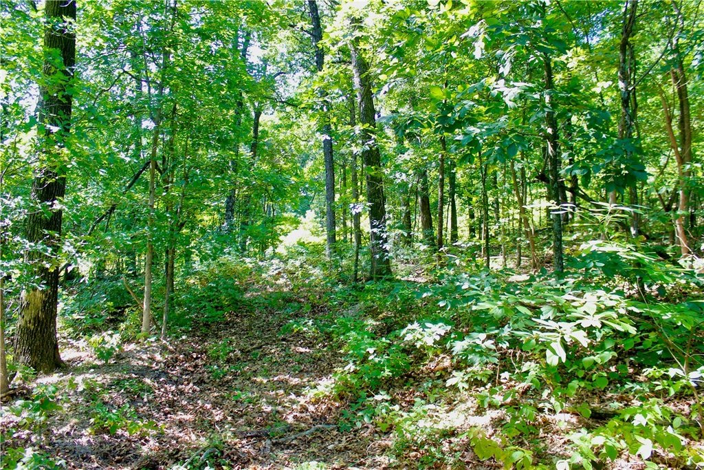 Picture 17