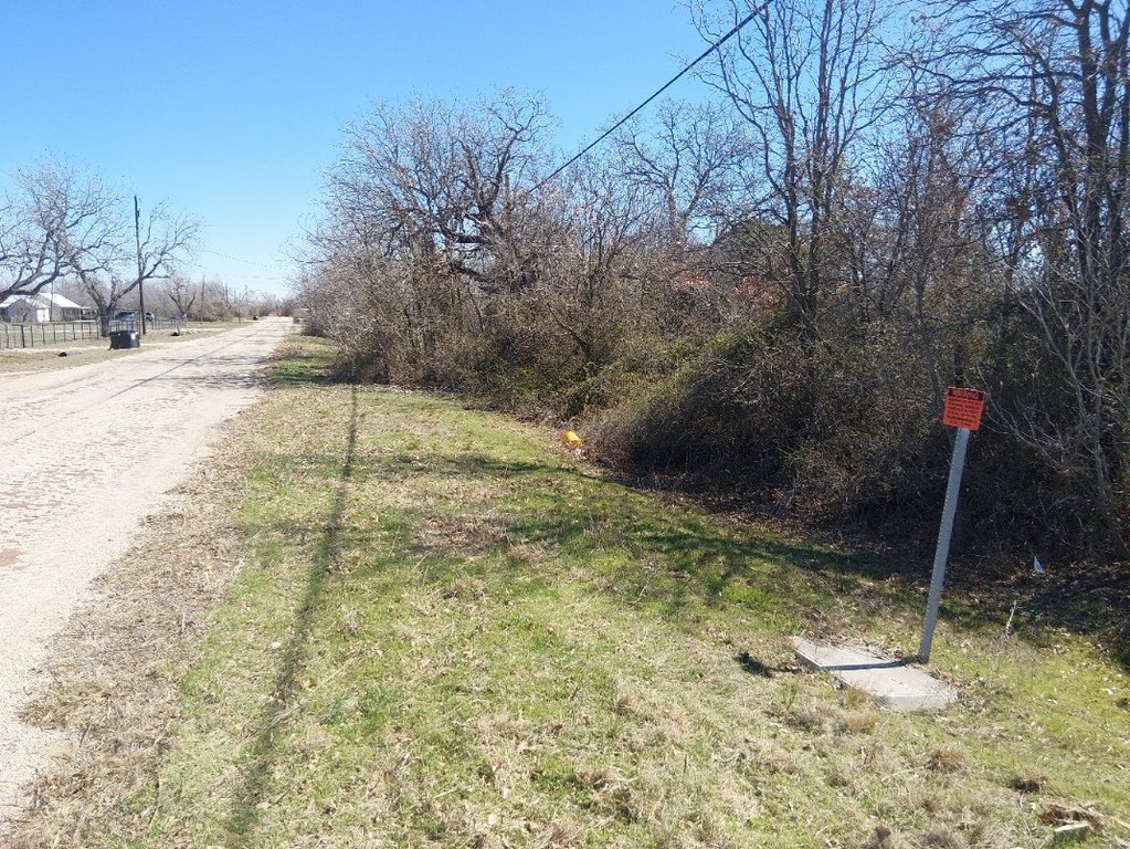 Picture 3