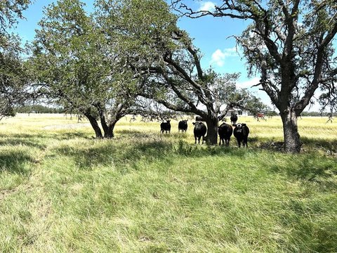 Texas Hill Country Ranch Land