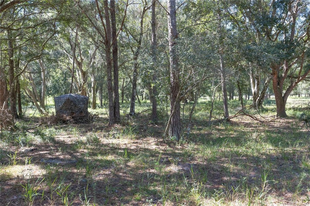 Picture 20