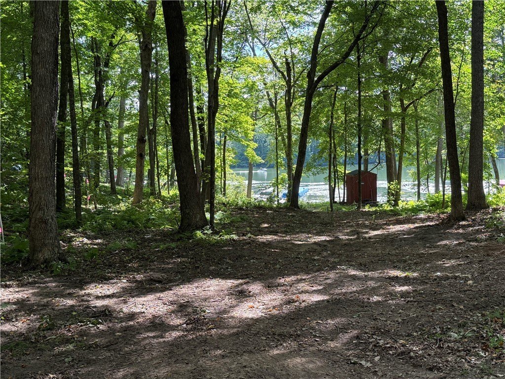 Picture 20