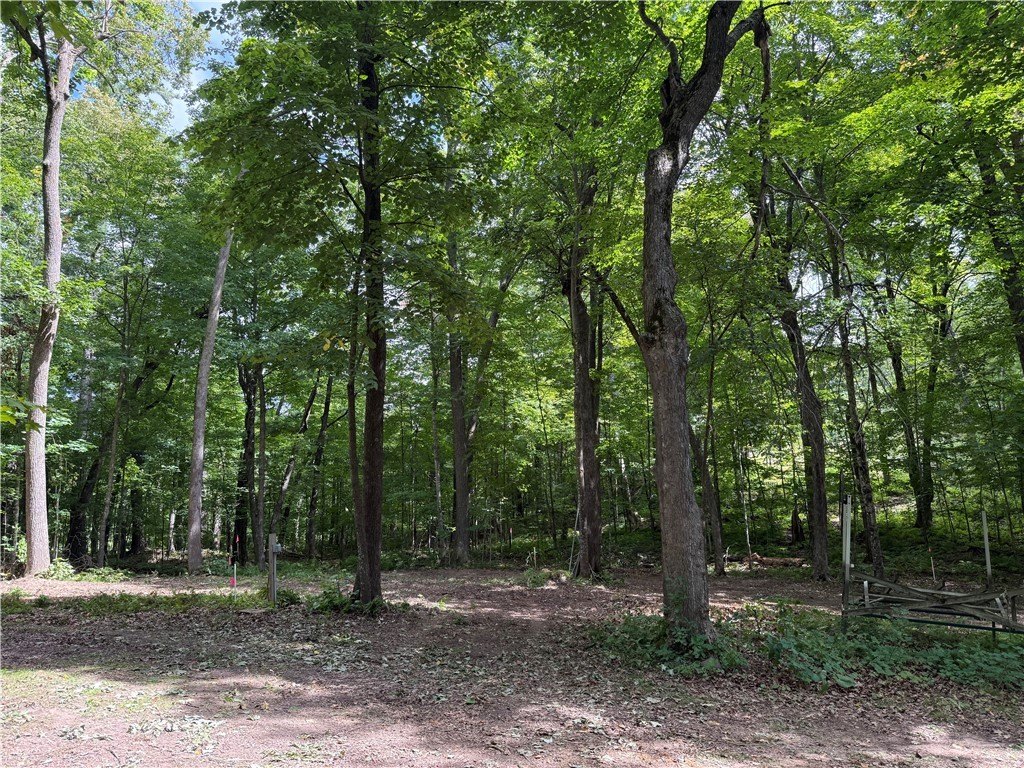 Picture 19