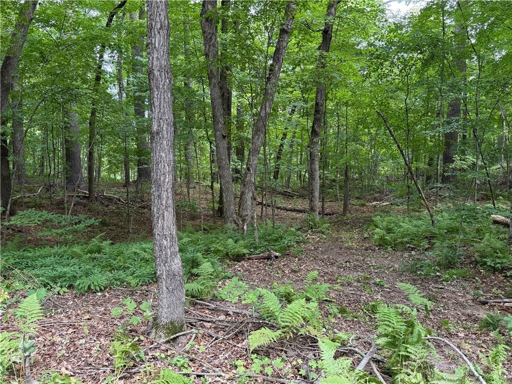 Picture 16