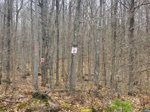 Spacious Wooded Lot in Merrillsville