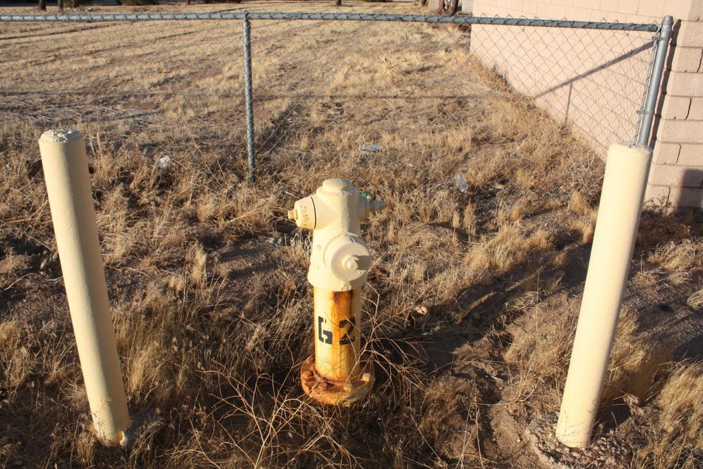 Picture 9