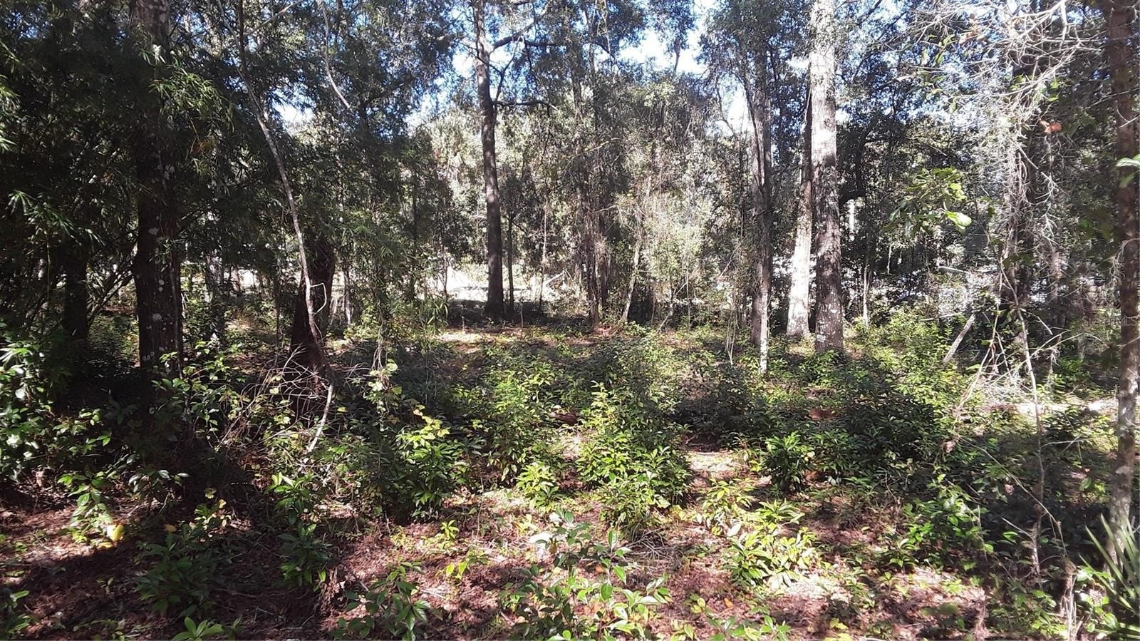 Corner Lot Near Dunnellon