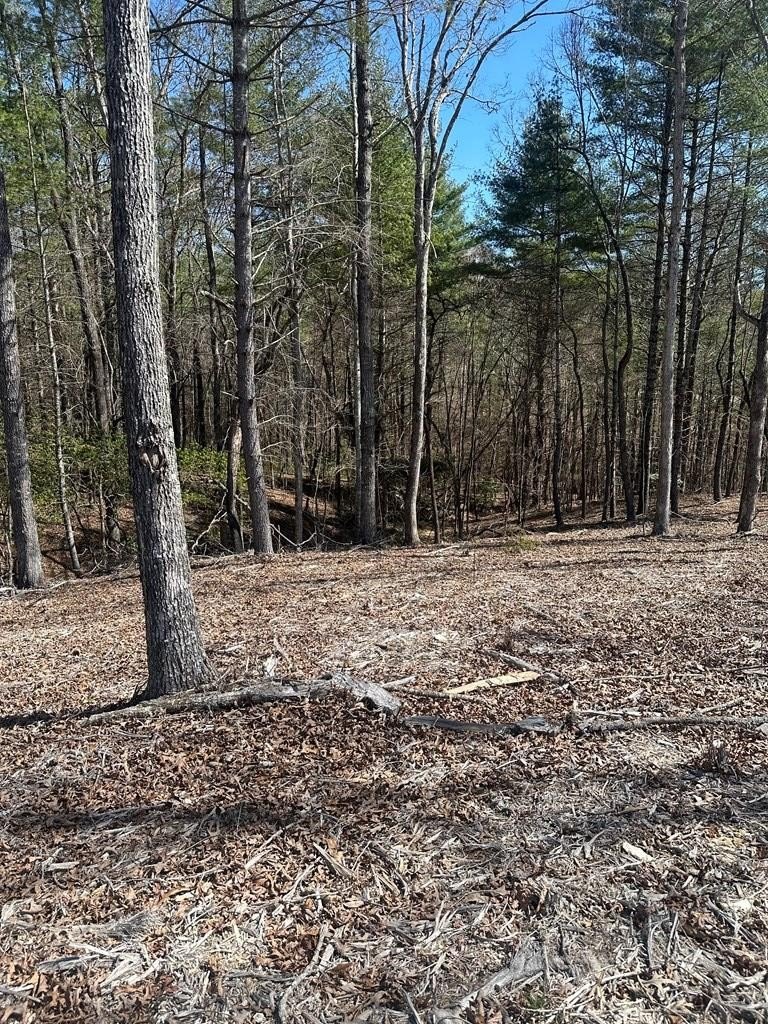 Vacant Lot - Morganton, GA
