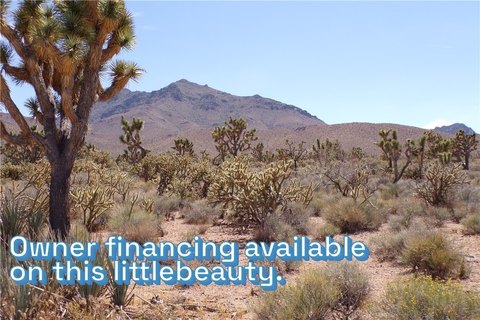 Land in Dolan Springs, AZ