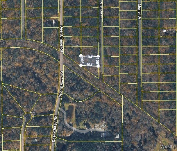 Land in Million Dollar Lake