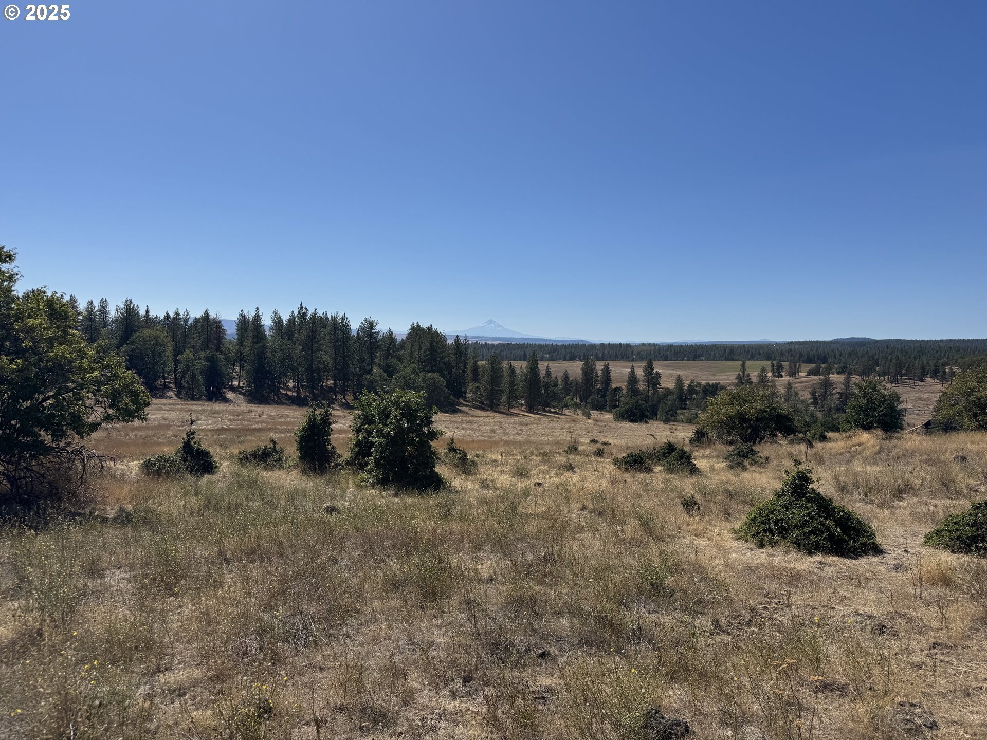 Land with Mountain Views