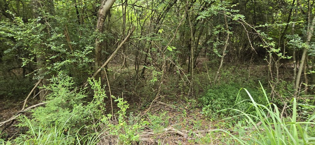 Picture 8
