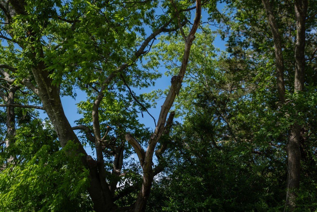 Picture 3