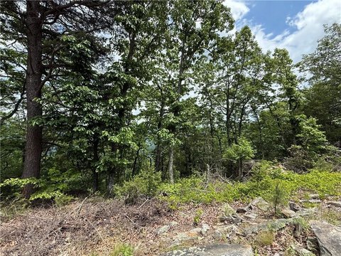 Land Near McLemore Resort