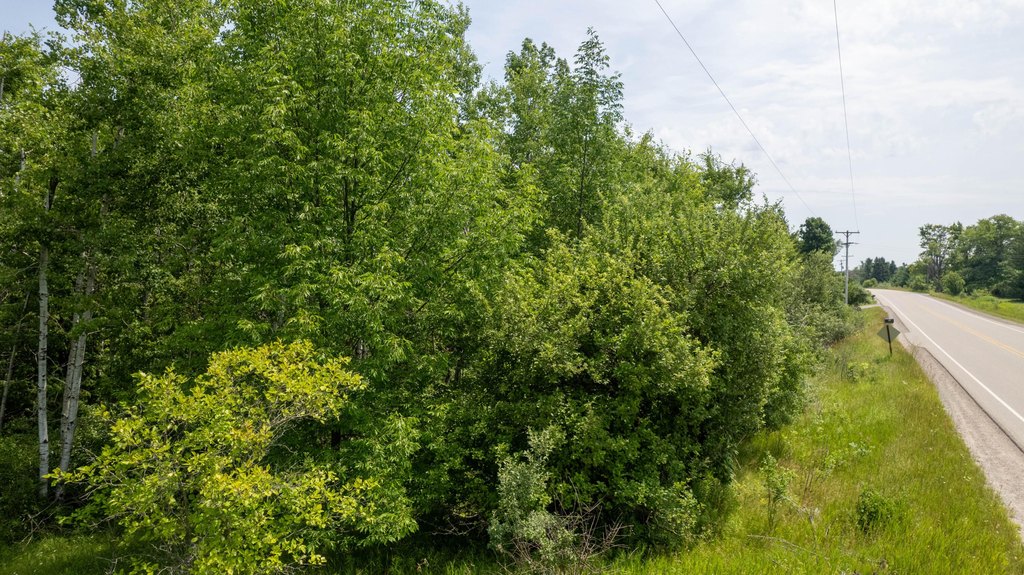 Picture 10