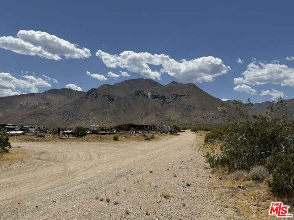 Picture 17