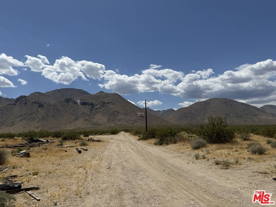 Picture 23