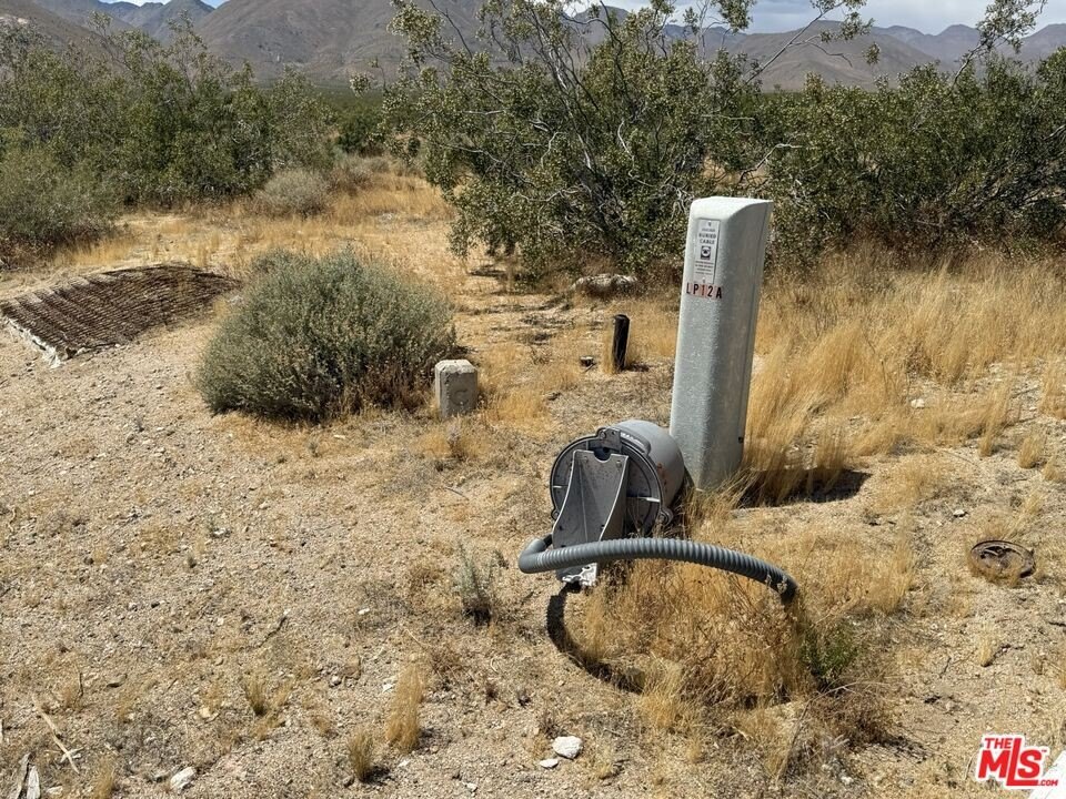 Picture 12