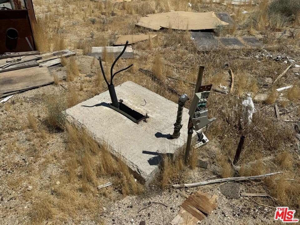 Picture 19