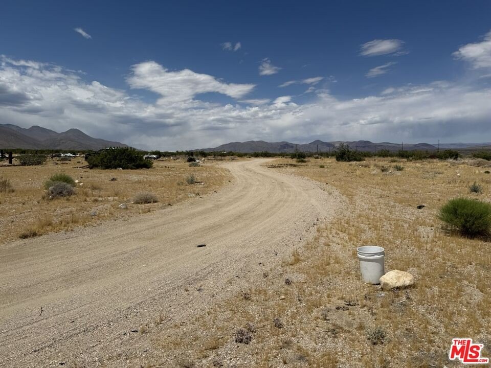 Picture 8