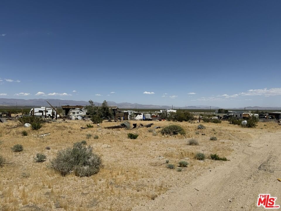 Picture 24