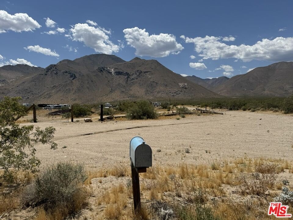 Picture 16