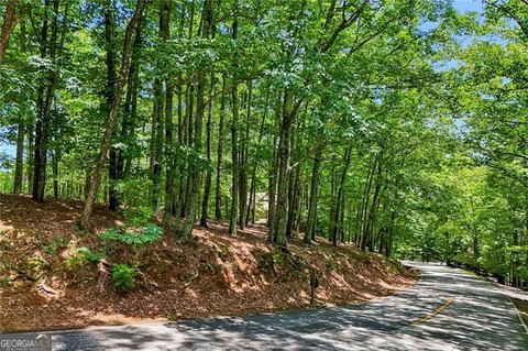 LAND - Big Canoe, GA