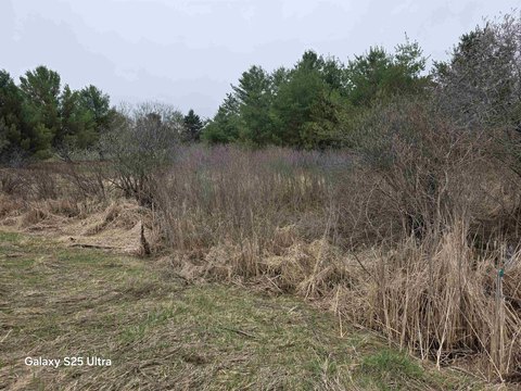 Vacant Land in Sugar Springs