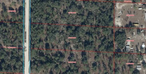 Land, WILLISTON, FL